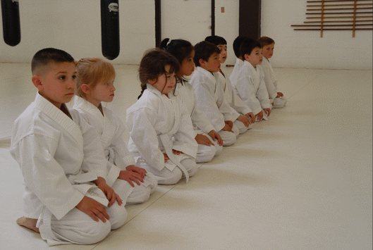 “Aikido class for young children in Fremont” / “Beginner kids martial arts Fremont.”